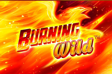Burning WILD