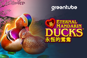 Power Prizes – Eternal Mandarin Ducks