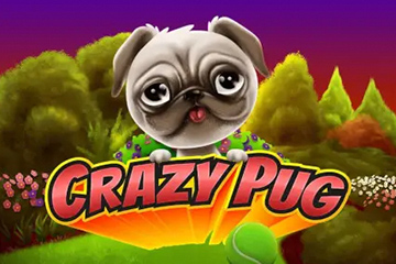 Crazy Pug